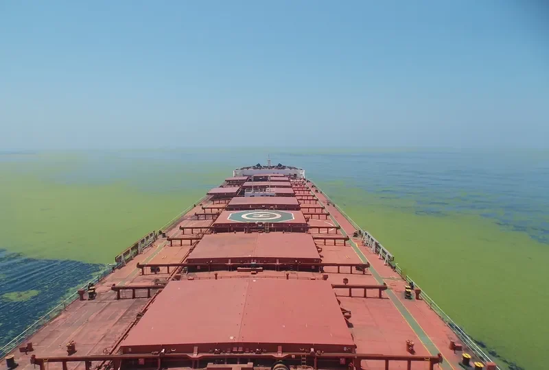 ORSOLA BOTTIGLIERI Bulk Carrier IMO 9501617 photo 4