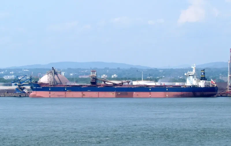 ORSOLA BOTTIGLIERI Bulk Carrier IMO 9501617 photo 6