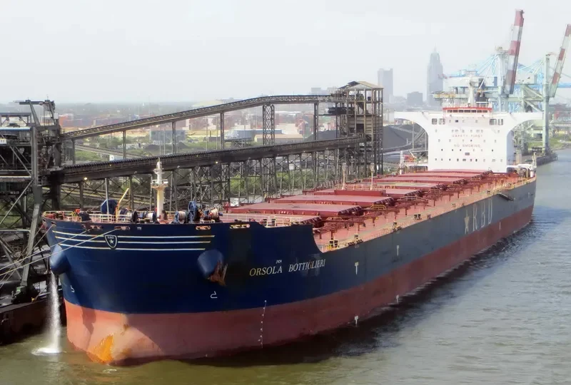 ORSOLA BOTTIGLIERI Bulk Carrier IMO 9501617 photo 8