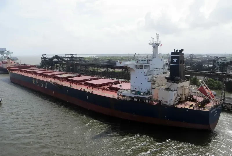 ORSOLA BOTTIGLIERI Bulk Carrier IMO 9501617 photo 9