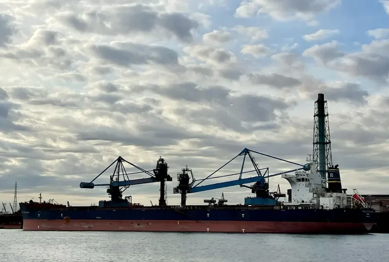 ORSOLA BOTTIGLIERI Bulk Carrier IMO 9501617 photo 10