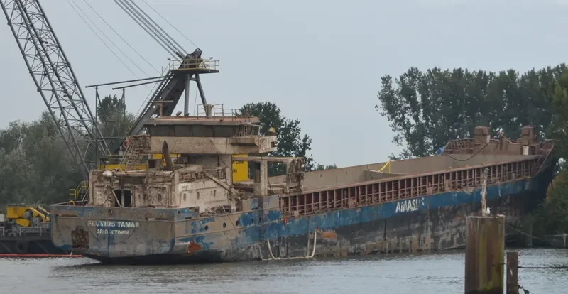 FLUVIUS TAMAR General Cargo IMO 9501708 photo 3