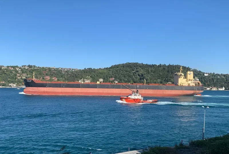 GIANT ACE Bulk Carrier IMO 9501851 photo 4