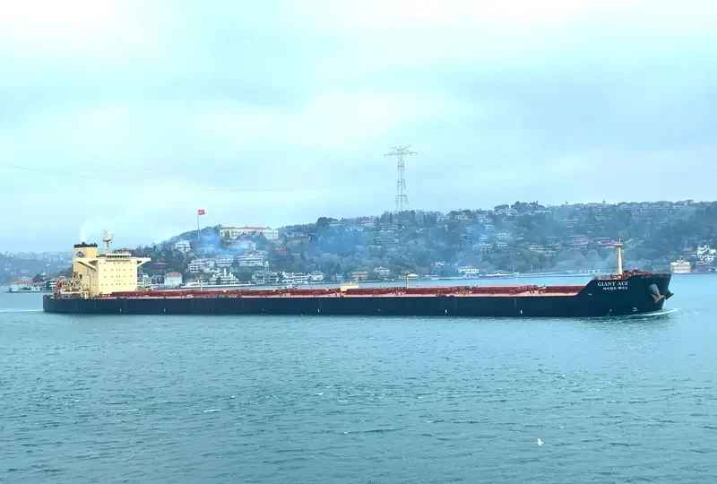 GIANT ACE Bulk Carrier IMO 9501851 photo 5