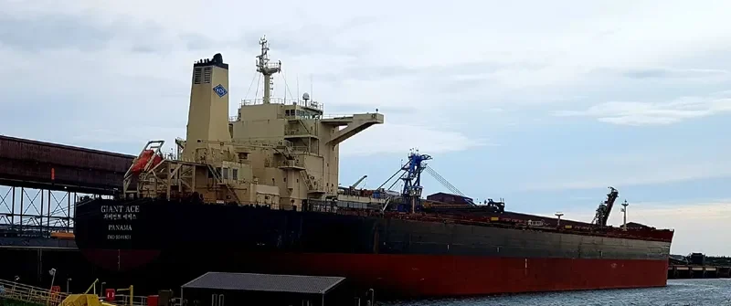 GIANT ACE Bulk Carrier IMO 9501851 photo 6