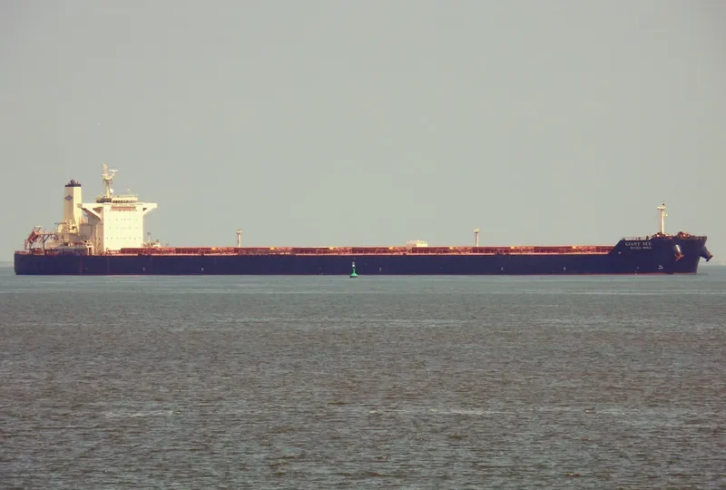GIANT ACE Bulk Carrier IMO 9501851 photo 8