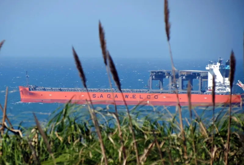 SAGA FLORA General Cargo IMO 9502348 photo 2