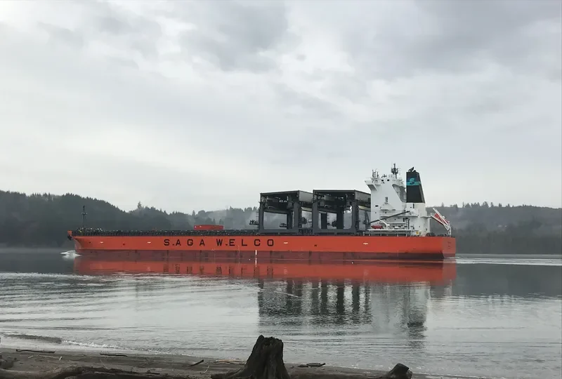 SAGA FLORA General Cargo IMO 9502348 photo 5