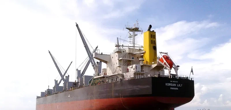LACTA Bulk Carrier IMO 9502362