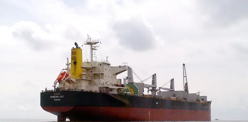 LACTA Bulk Carrier IMO 9502362 photo 2