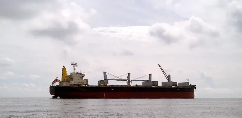 LACTA Bulk Carrier IMO 9502362 photo 3