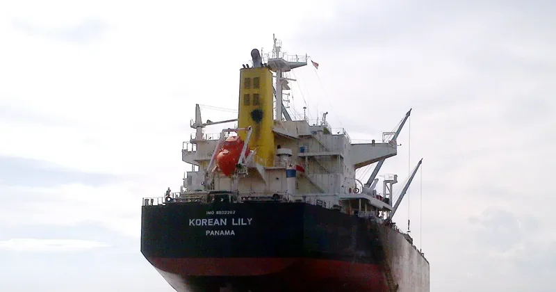 LACTA Bulk Carrier IMO 9502362 photo 4