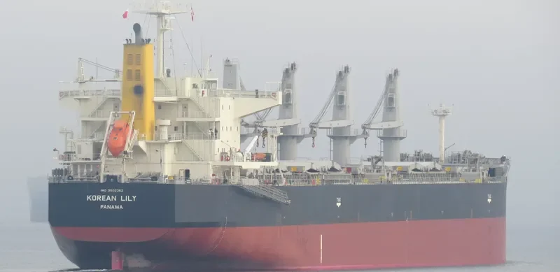 LACTA Bulk Carrier IMO 9502362 photo 5