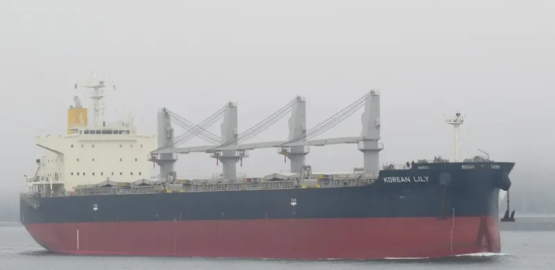LACTA Bulk Carrier IMO 9502362 photo 6