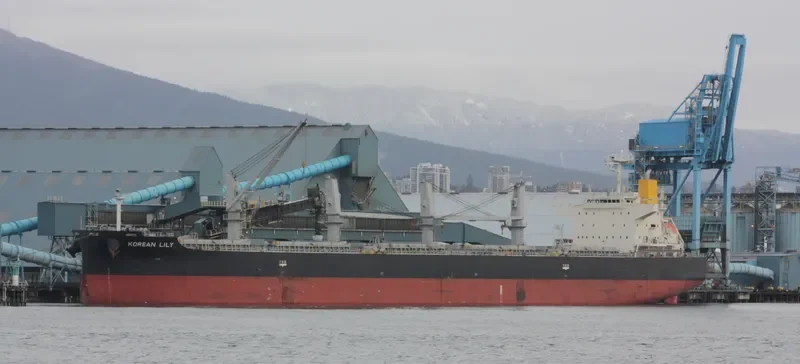 LACTA Bulk Carrier IMO 9502362 photo 7