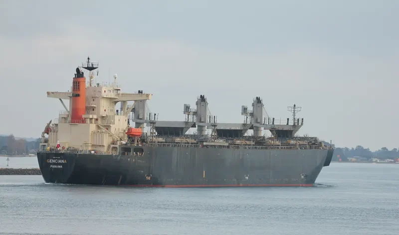 GENCIANA Bulk Carrier IMO 9502568 photo 4