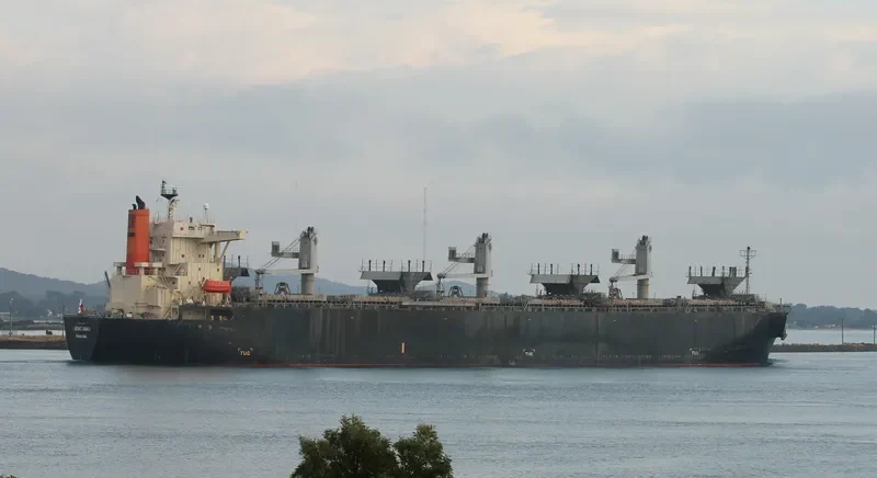 GENCIANA Bulk Carrier IMO 9502568 photo 5