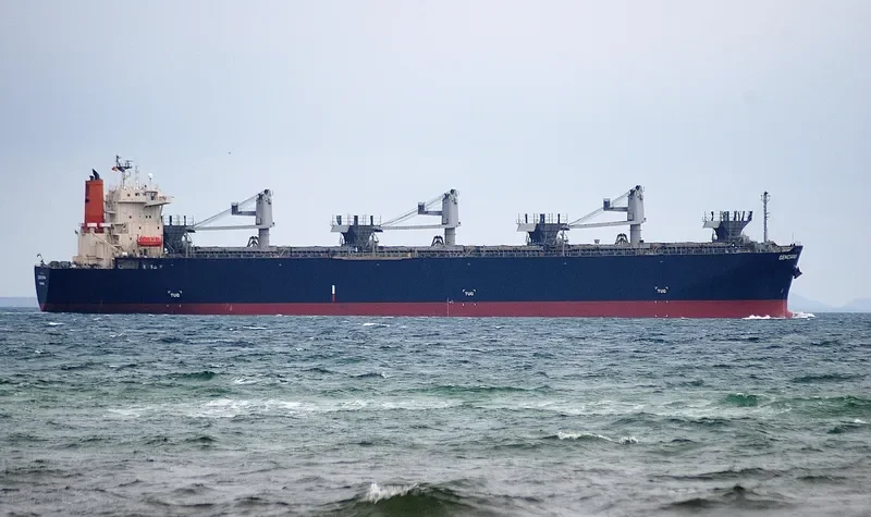 GENCIANA Bulk Carrier IMO 9502568 photo 7