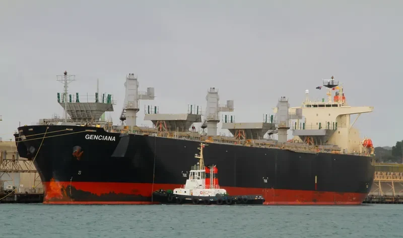 GENCIANA Bulk Carrier IMO 9502568 photo 8