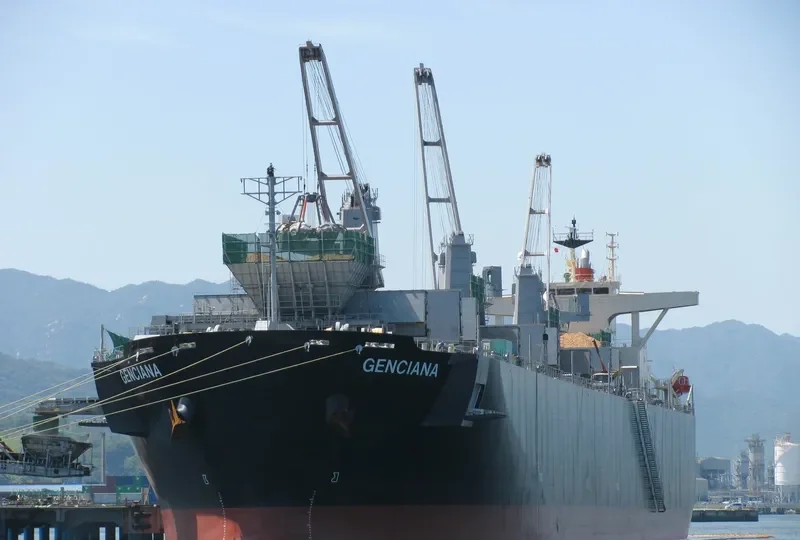 GENCIANA Bulk Carrier IMO 9502568 photo 10