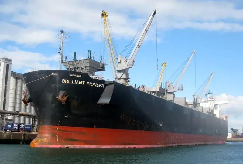 BRILLIANT EAGLE Bulk Carrier IMO 9502570 photo 3