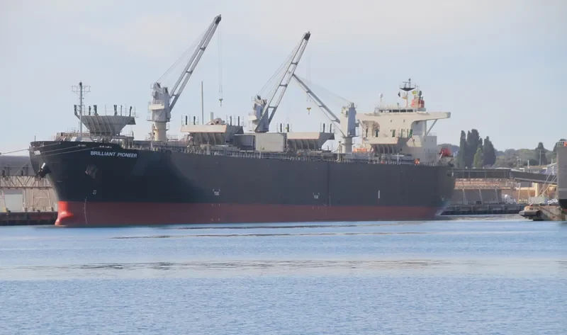 BRILLIANT EAGLE Bulk Carrier IMO 9502570 photo 4