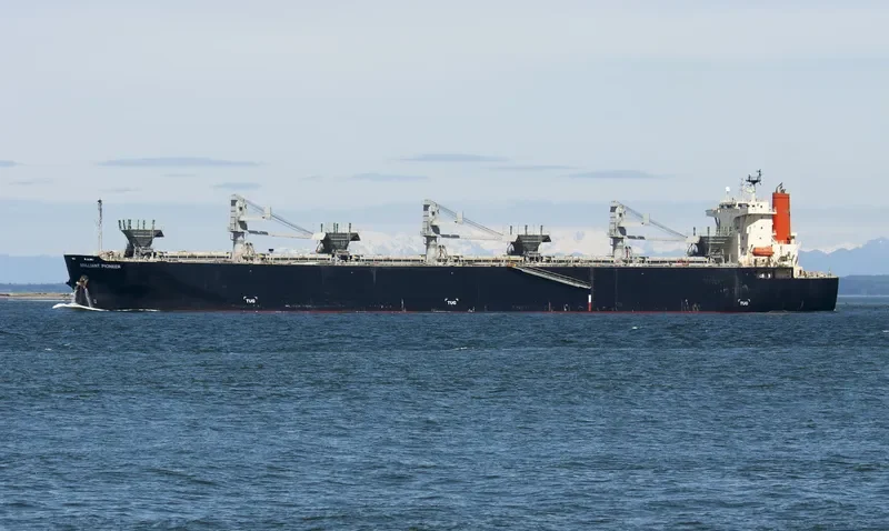 BRILLIANT EAGLE Bulk Carrier IMO 9502570 photo 7