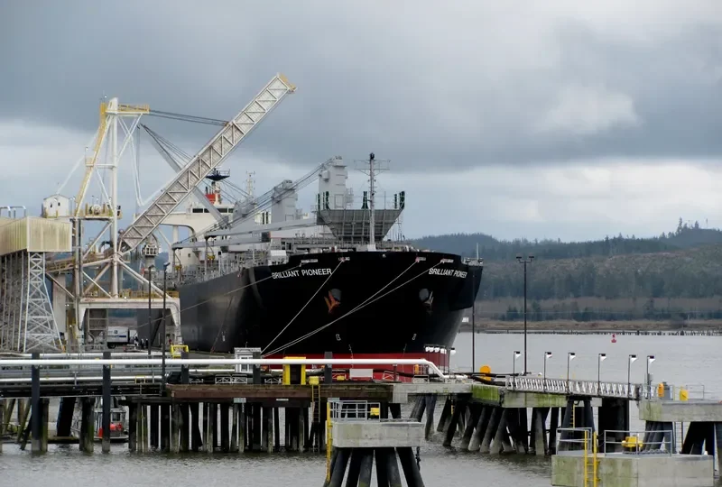 BRILLIANT EAGLE Bulk Carrier IMO 9502570 photo 8