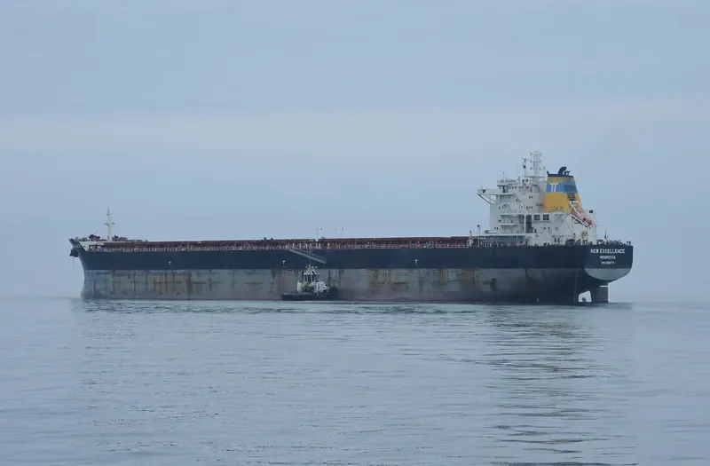 NEW EXCELLENCE Bulk Carrier IMO 9502594 photo 2
