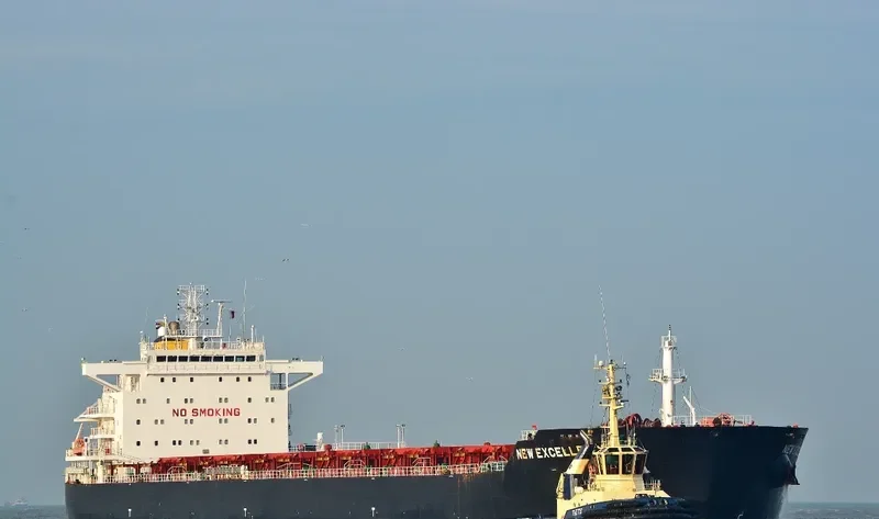 NEW EXCELLENCE Bulk Carrier IMO 9502594 photo 6