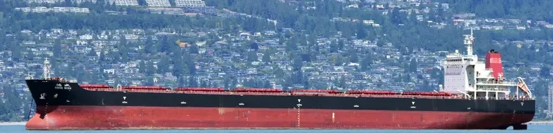 GOOD WISH Bulk Carrier IMO 9502623