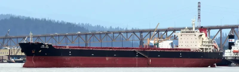 GOOD WISH Bulk Carrier IMO 9502623 photo 3