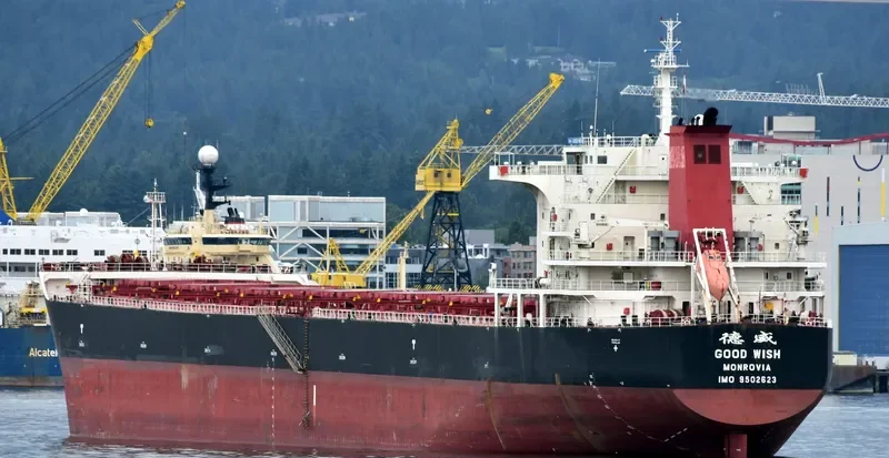 GOOD WISH Bulk Carrier IMO 9502623 photo 4