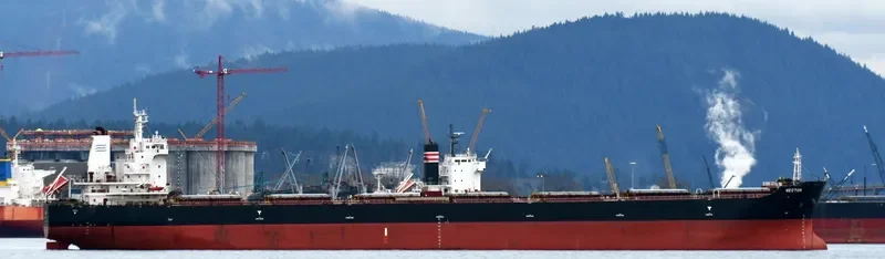 HECTOR Bulk Carrier IMO 9502635 photo 2