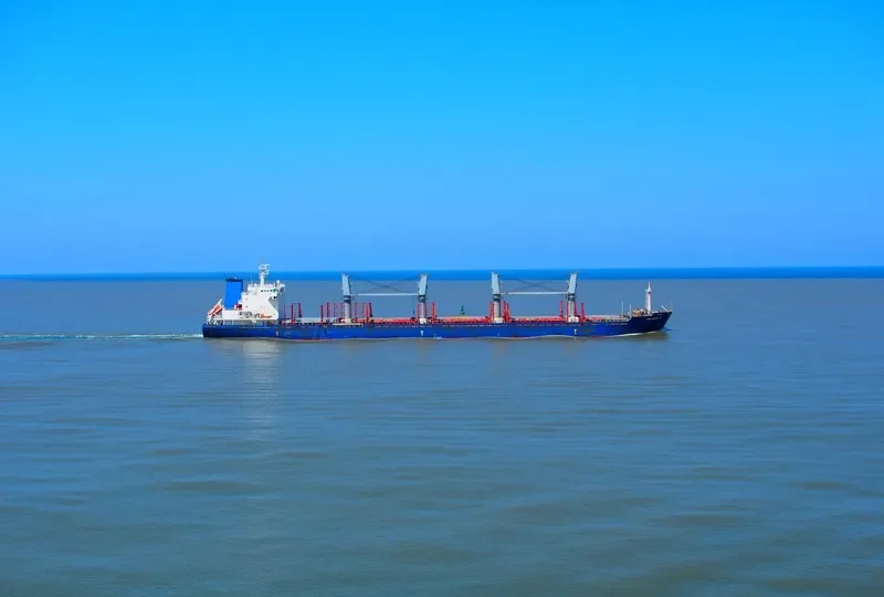 PACIFIC SPIRIT Bulk Carrier IMO 9502726 photo 3