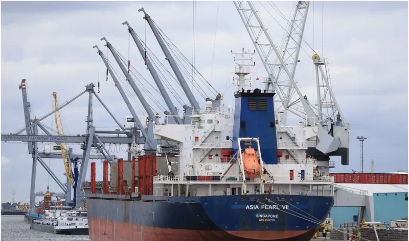 PACIFIC SPIRIT Bulk Carrier IMO 9502726 photo 8
