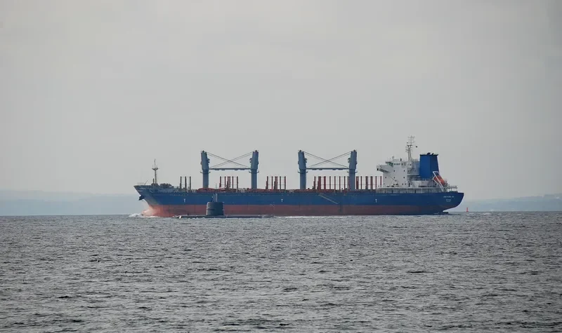 PACIFIC SPIRIT Bulk Carrier IMO 9502726 photo 9