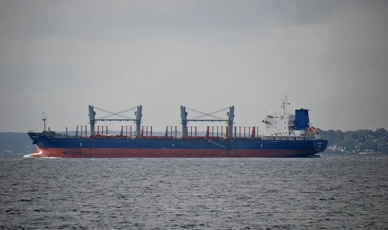 PACIFIC SPIRIT Bulk Carrier IMO 9502726 photo 10