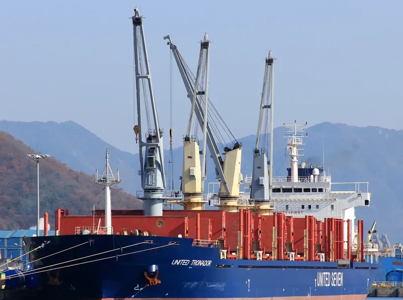 ASIA PEARL VIII Bulk Carrier IMO 9502738