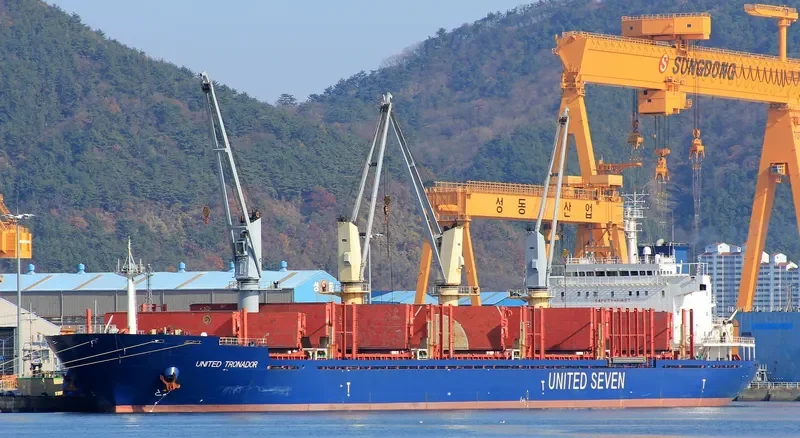 ASIA PEARL VIII Bulk Carrier IMO 9502738 photo 2