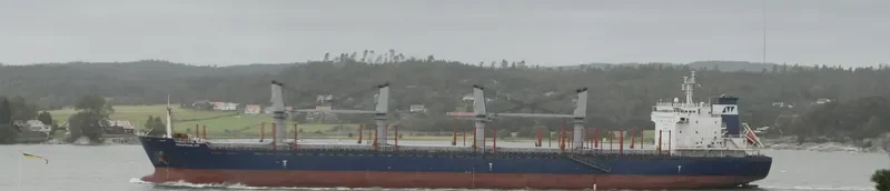 ASIA PEARL VIII Bulk Carrier IMO 9502738 photo 3