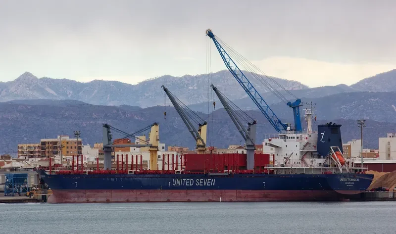 ASIA PEARL VIII Bulk Carrier IMO 9502738 photo 4