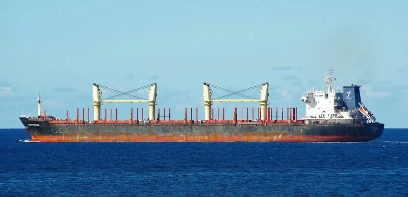 ASIA PEARL VIII Bulk Carrier IMO 9502738 photo 5
