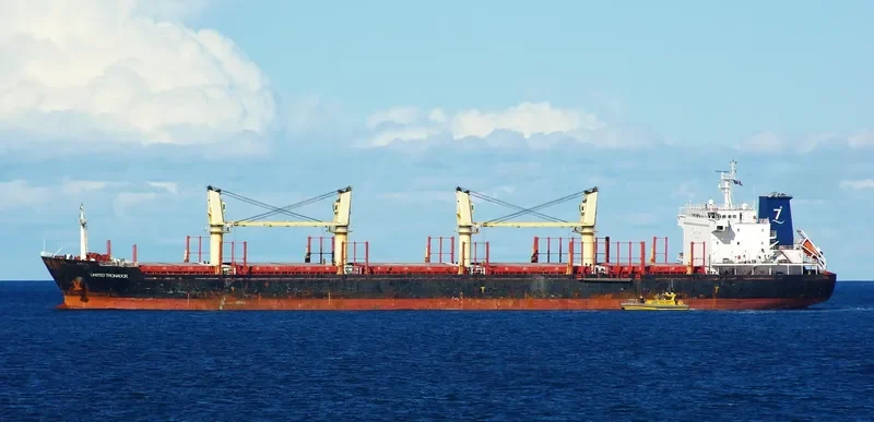 ASIA PEARL VIII Bulk Carrier IMO 9502738 photo 6