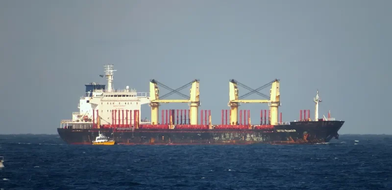 ASIA PEARL VIII Bulk Carrier IMO 9502738 photo 7