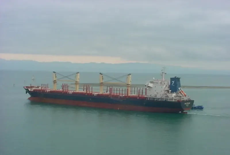 ASIA PEARL VIII Bulk Carrier IMO 9502738 photo 9