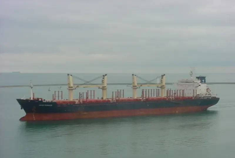 ASIA PEARL VIII Bulk Carrier IMO 9502738 photo 10