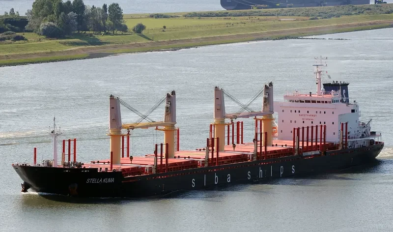 ASIA PEARL II Bulk Carrier IMO 9502740