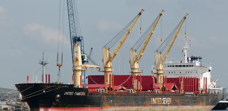 ASIA PEARL II Bulk Carrier IMO 9502740 photo 3