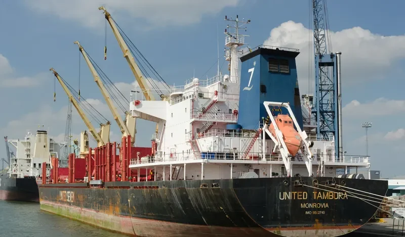 ASIA PEARL II Bulk Carrier IMO 9502740 photo 4